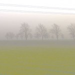Practicing Peace: Self-Connection (continued)