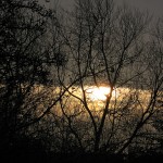 A Peaceful and Vibrant Solstice