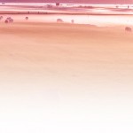 Practicing Peace: Mindfulness (continued)