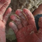 In the Sandbox