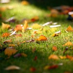 Community Works… Life in Cohousing