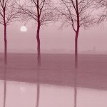 Practicing Peace: Meditation