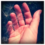 Loving 2011: Images