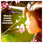 unschooling living